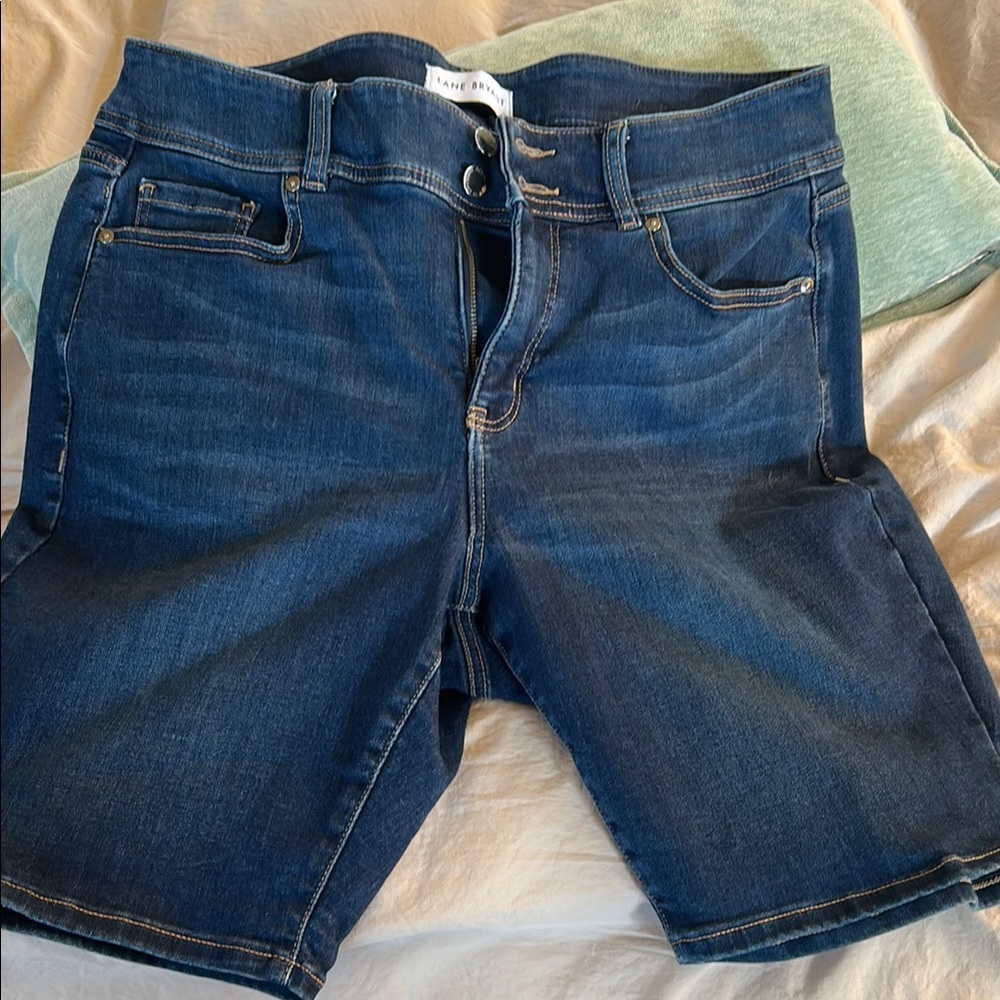 Lane Bryant Classic Blue Jeans